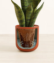 Load image into Gallery viewer, Earth Red stand:all
