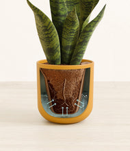 Load image into Gallery viewer, Sunset Orange stand:all
