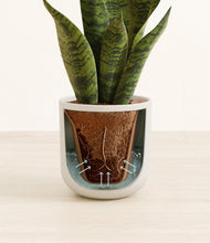 Load image into Gallery viewer, Natural Bamboo stand:all
