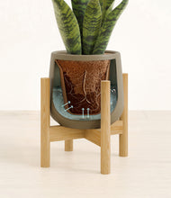Load image into Gallery viewer, Olive stand:bamboo
