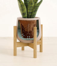 Load image into Gallery viewer, Eternal Gray stand:bamboo
