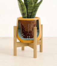 Load image into Gallery viewer, Mustard stand:bamboo
