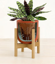 Load image into Gallery viewer, Earth Red stand:bamboo
