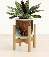 Load image into Gallery viewer, Natural Bamboo stand:bamboo
