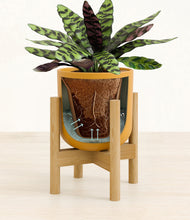 Load image into Gallery viewer, Sunset Orange stand:bamboo
