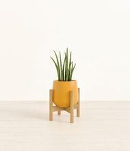 Load image into Gallery viewer, Mustard stand:bamboo
