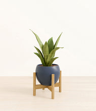 Load image into Gallery viewer, Deep Navy stand:bamboo
