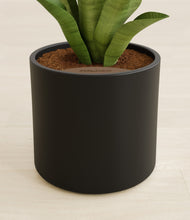 Load image into Gallery viewer, Black stand:all
