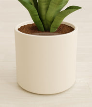 Load image into Gallery viewer, Cream stand:all
