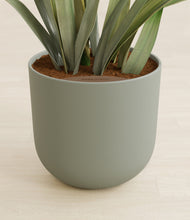 Load image into Gallery viewer, Sage Green stand:all
