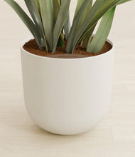 Load image into Gallery viewer, Natural Bamboo stand:all
