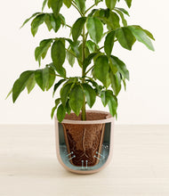 Load image into Gallery viewer, Iron Gray stand:all
