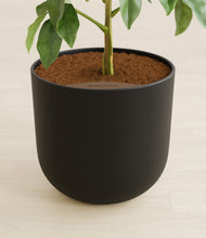 Load image into Gallery viewer, Stone Black stand:all
