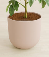Load image into Gallery viewer, Sandy Pink stand:all
