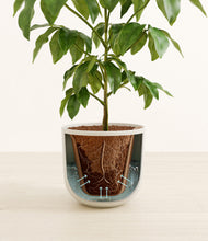 Load image into Gallery viewer, Natural Bamboo stand:all

