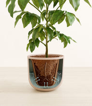 Load image into Gallery viewer, Sandy Pink stand:all
