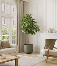 Load image into Gallery viewer, Sage Green*****Profile
