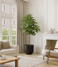 Load image into Gallery viewer, Stone Black*****Profile
