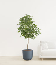 Load image into Gallery viewer, Iron Gray
