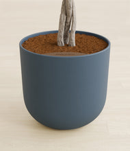 Load image into Gallery viewer, Iron Gray stand:all
