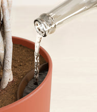 Load image into Gallery viewer, Earth Red stand:all
