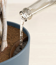 Load image into Gallery viewer, Iron Gray stand:all
