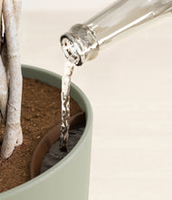 Load image into Gallery viewer, Sage Green stand:all
