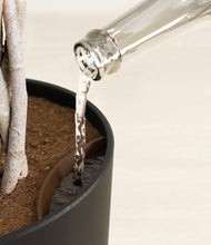 Load image into Gallery viewer, Stone Black stand:all
