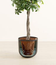 Load image into Gallery viewer, Stone Black stand:all
