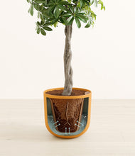 Load image into Gallery viewer, Sunset Orange stand:all
