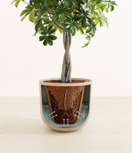 Load image into Gallery viewer, Sandy Pink stand:all

