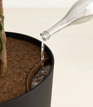 Load image into Gallery viewer, Stone Black
