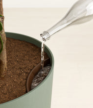 Load image into Gallery viewer, Sage Green
