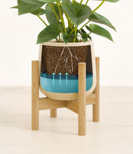 Load image into Gallery viewer, Almond Green stand:bamboo
