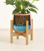 Load image into Gallery viewer, Calm Rose stand:bamboo
