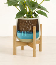 Load image into Gallery viewer, Turquoise stand:bamboo
