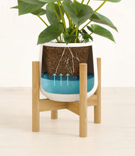 Load image into Gallery viewer, White stand:bamboo
