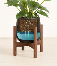Load image into Gallery viewer, Black stand:walnut
