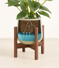 Load image into Gallery viewer, Turquoise stand:walnut
