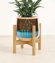 Load image into Gallery viewer, Gentle Pink stand:bamboo
