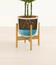 Load image into Gallery viewer, Natural Bamboo stand:bamboo
