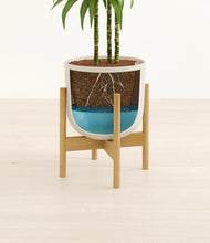 Load image into Gallery viewer, Natural Bamboo stand:bamboo
