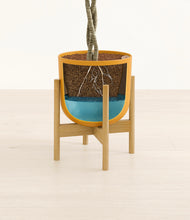 Load image into Gallery viewer, Susnet Orange stand:bamboo
