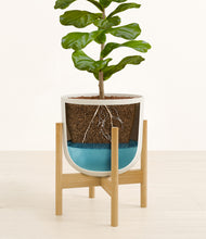 Load image into Gallery viewer, Natural Bamboo stand:bamboo
