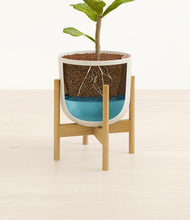 Load image into Gallery viewer, Natural Bamboo stand:bamboo
