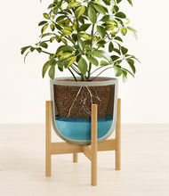 Load image into Gallery viewer, Sage Green stand:bamboo
