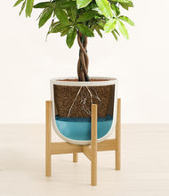 Load image into Gallery viewer, Natural Bamboo stand:bamboo
