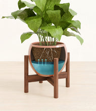 Load image into Gallery viewer, Calm Rose stand:walnut
