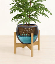 Load image into Gallery viewer, Deep Navy stand:bamboo
