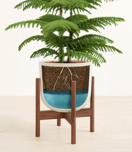 Load image into Gallery viewer, Natural Bamboo stand:walnut
